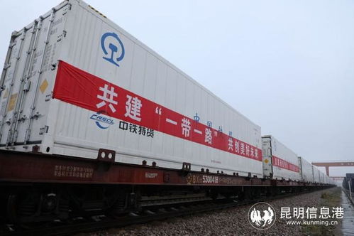 中老鐵路玉溪至萬象國際貨運冷鏈列車正式開行，助力跨境物流新發展